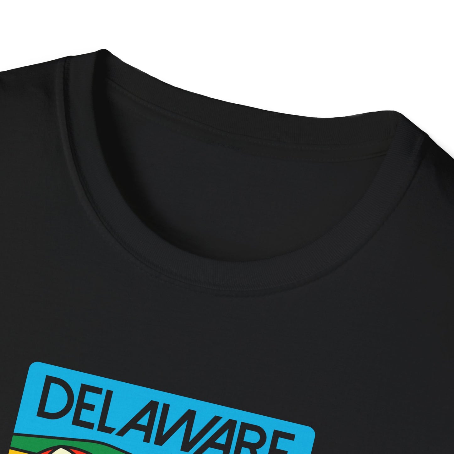 Delaware 1984 T-Shirt